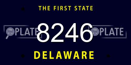 8246 Delaware License Plate