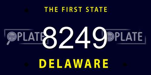 8249 Delaware License Plate