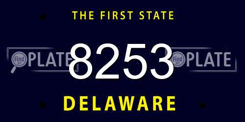 8253 Delaware License Plate