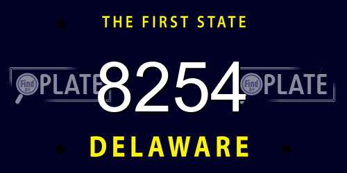 8254 Delaware License Plate