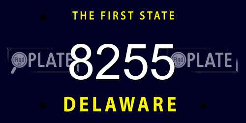 8255 Delaware License Plate