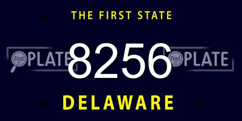 8256 Delaware License Plate