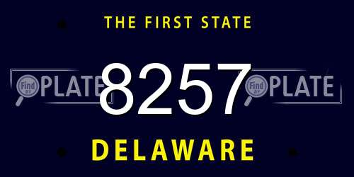 8257 Delaware License Plate