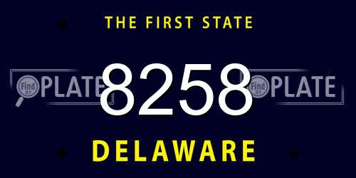 8258 Delaware License Plate