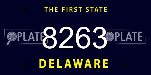 8263 Delaware License Plate