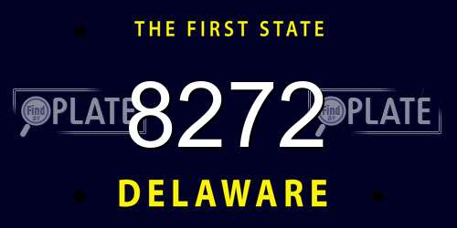 8272 Delaware License Plate