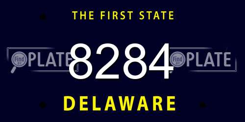 8284 Delaware License Plate