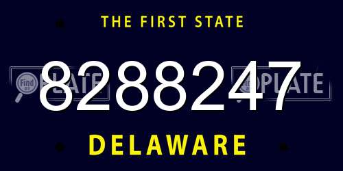 8288247 Delaware License Plate