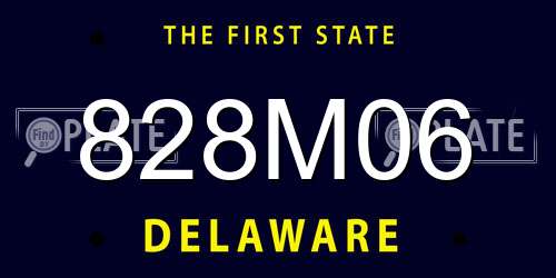 828M06 Delaware License Plate