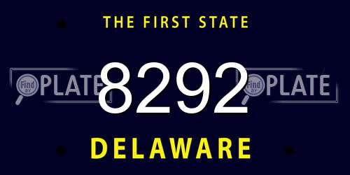 8292 Delaware License Plate