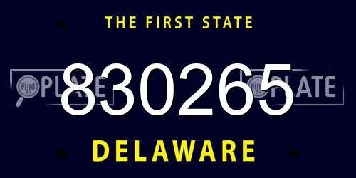 830265 Delaware License Plate