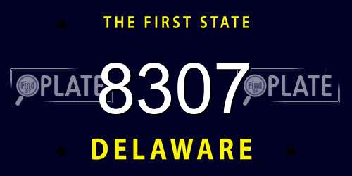 8307 Delaware License Plate