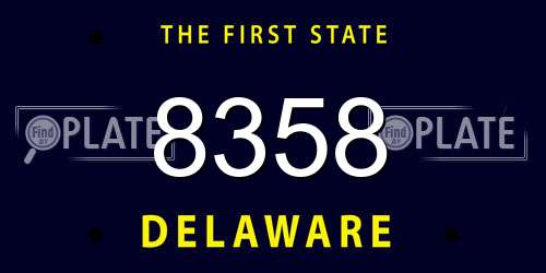 8358 Delaware License Plate