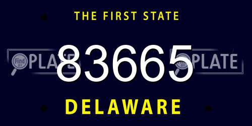 83665 Delaware License Plate