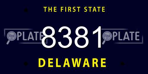 8381 Delaware License Plate