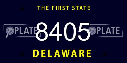 8405 Delaware License Plate