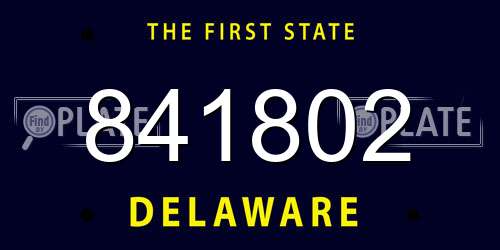 841802 Delaware License Plate