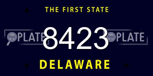8423 Delaware License Plate