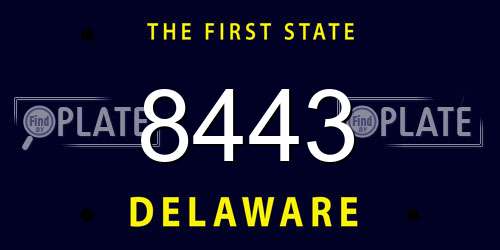 8443 Delaware License Plate