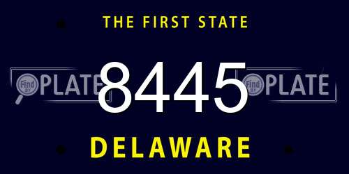 8445 Delaware License Plate