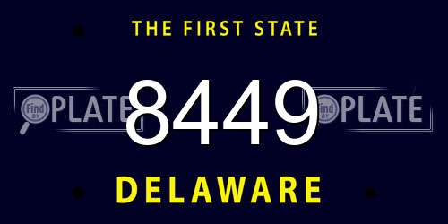 8449 Delaware License Plate