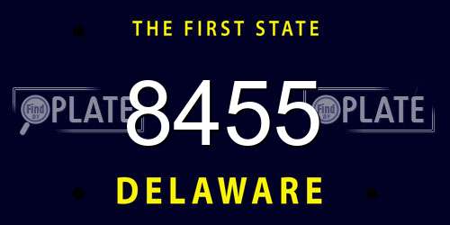 8455 Delaware License Plate