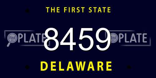 8459 Delaware License Plate