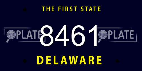 8461 Delaware License Plate