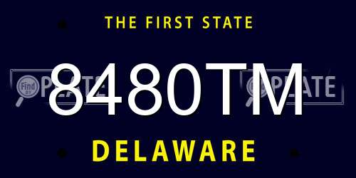8480TM Delaware License Plate