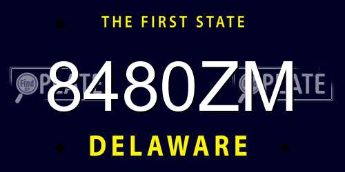 8480ZM Delaware License Plate