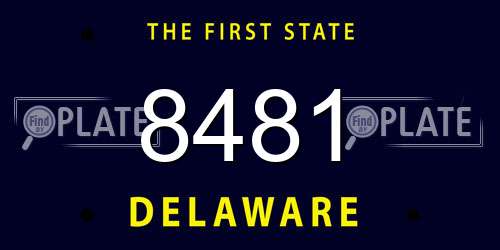 8481 Delaware License Plate