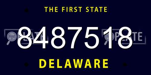8487518 Delaware License Plate