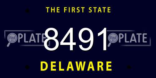 8491 Delaware License Plate
