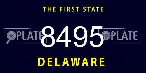 8495 Delaware License Plate