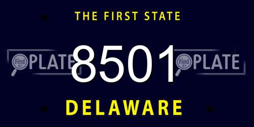 8501 Delaware License Plate