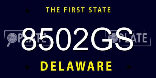 8502GS Delaware License Plate