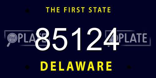 85124 Delaware License Plate