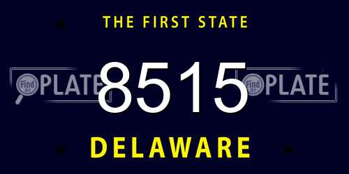 8515 Delaware License Plate