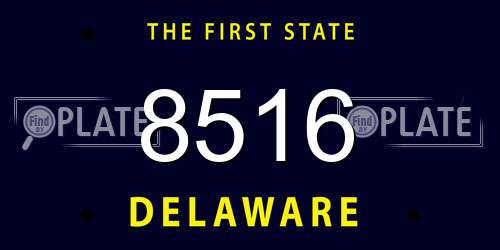 8516 Delaware License Plate