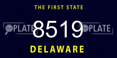 8519 Delaware License Plate