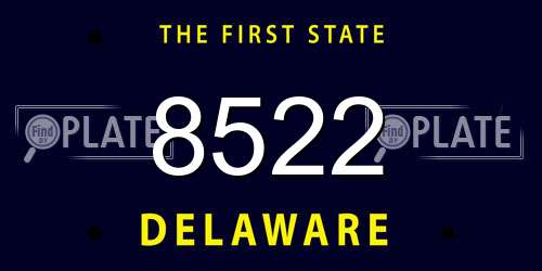 8522 Delaware License Plate