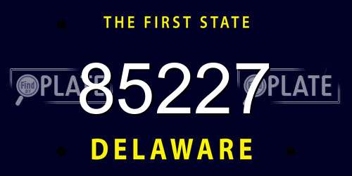 85227 Delaware License Plate