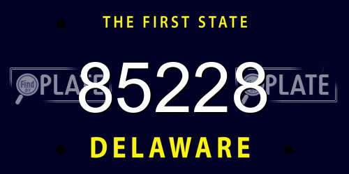 85228 Delaware License Plate
