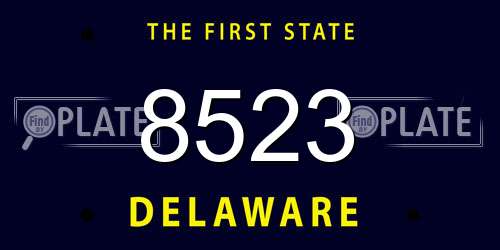 8523 Delaware License Plate