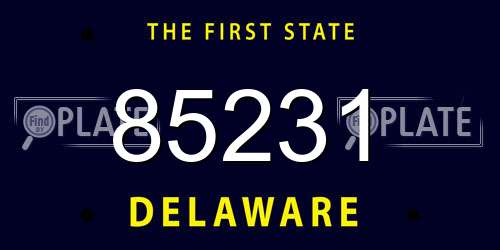 85231 Delaware License Plate