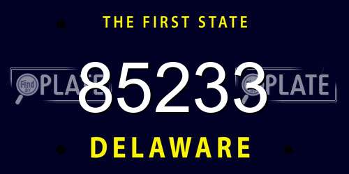 85233 Delaware License Plate