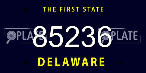 85236 Delaware License Plate