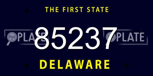 85237 Delaware License Plate