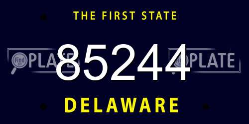 85244 Delaware License Plate