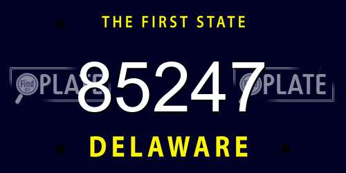 85247 Delaware License Plate